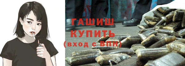 шишки Магас