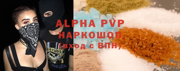 шишки Магас