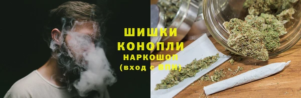 шишки Магас