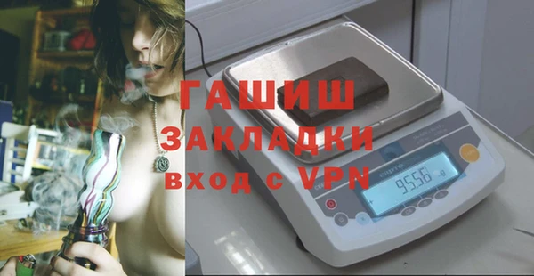 шишки Магас