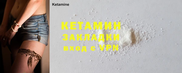 шишки Магас