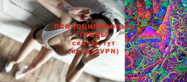 каннабис Майский
