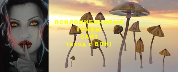 сатива Магадан