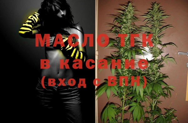 шишки Магас