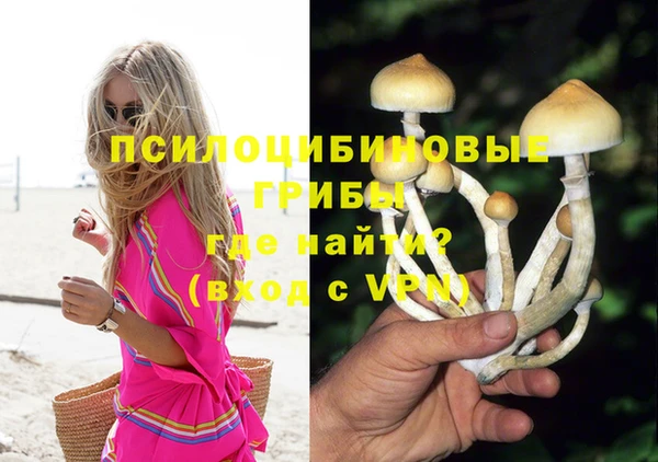 гашиш Медвежьегорск
