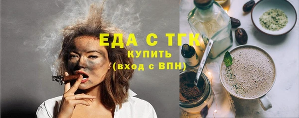 шишки Магас