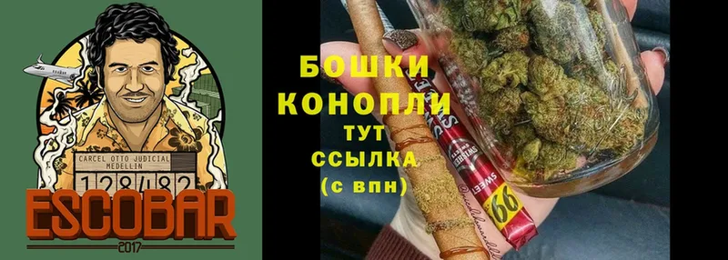 Марихуана SATIVA & INDICA  darknet телеграм  Нефтегорск 